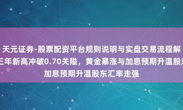 天元证券-股票配资平台规则说明与实盘交易流程解析 澳元创三年新高冲破0.70关隘,黄金暴涨与加息预期升温股东汇率走强
