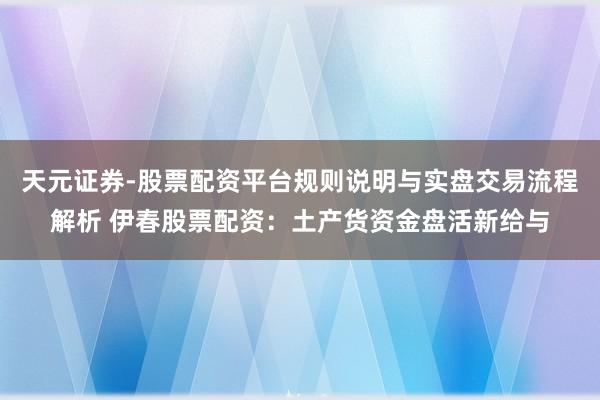 天元证券-股票配资平台规则说明与实盘交易流程解析 伊春股票配资：土产货资金盘活新给与