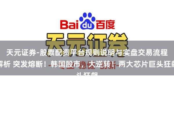 天元证券-股票配资平台规则说明与实盘交易流程解析 突发熔断！韩国股市，大逆转！两大芯片巨头狂飙
